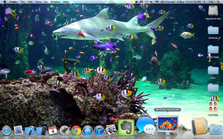 Desktop computer shark fish window - a desktop computer free wallpaper
