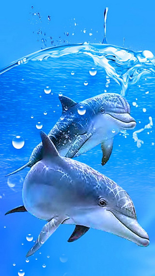 Dolphins swimming ocean bubbles wave - hd wallpaper free wallpaper for mobile