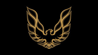 Golden bird wings black background - elite free wallpaper