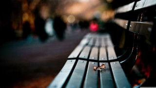City street bench tilt shift - david park free wallpaper for desktop