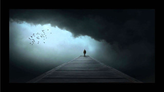 Person dock dark sky birds - liminal free wallpaper