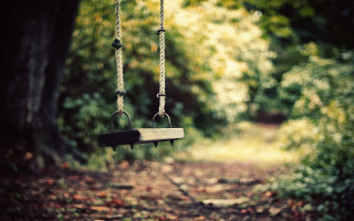 Swing forest trees leaves path 2 - florianne becker free wallpaper