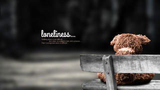 Teddy bear bench lovefirsts image - single body free wallpaper for desktop