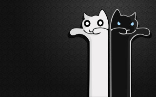 Black cat stripe illustration gothic - two cat free wallpaper for desktop