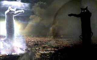 Cat hill city cloudy rainbow - top of a hill next free wallpaper