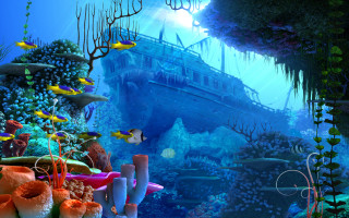 Boat ocean corals marine life - a fish free wallpaper