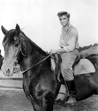 Man horse black white photo - american romanticism free wallpaper for tablet