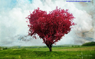 Heart shaped tree field blue - flavia bloi free wallpaper