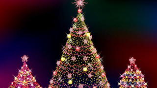 Large christmas tree lights park - hd wallpaper free wallpaper