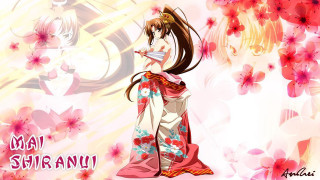 Woman kimono wine glass flowered - a glass of wine free wallpaper