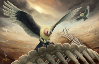 Bird flying skeleton field back - a painting of a bird free wallpaper for desktop