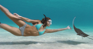 Woman bikini diving stingfish ocean - sandy free wallpaper