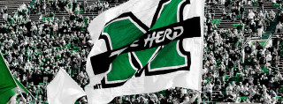 Stadium crowd flags banners green - the stand free wallpaper