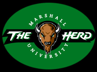 Green circle bull logo marshall - a green circle free wallpaper