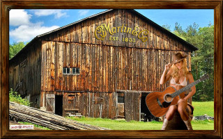 Woman guitar bench barn country - a barn free wallpaper
