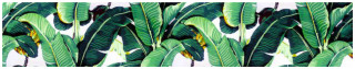 Green plant large leaves white - david diao free wallpaper for desktop