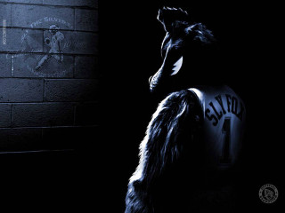 Dog sitting dark head up - his paw free wallpaper