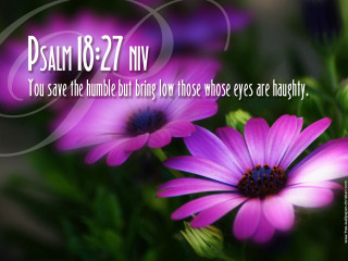 Purple flower bible verse birth - a bible verse free wallpaper