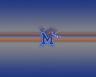 Blue orange striped tiger head - allan brooks free wallpaper