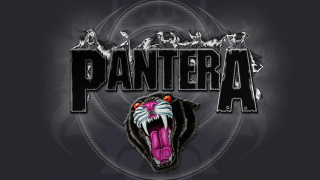 Black panther logo pink tongue - black arts movement free wallpaper