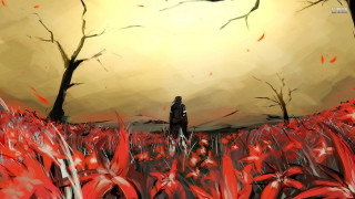 Man field redflowers yellowsky bird - overhead in the distance free wallpaper