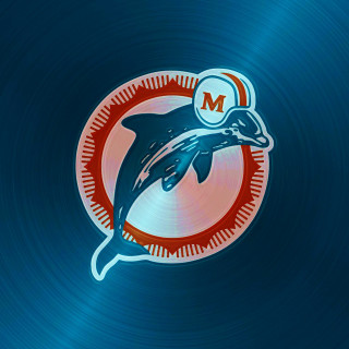 Dolphin jumping water circle m - the water free wallpaper for tablet