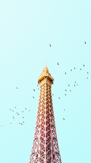 Flock birds flying eiffel tower - sunny free wallpaper for mobile
