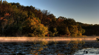 Lake boat trees fog background - autumn free wallpaper