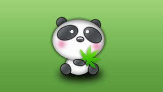 Panda green leaf cute portrait - a green background behind free wallpaper