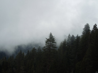 Forest trees clouds people road - charles martin free wallpaper