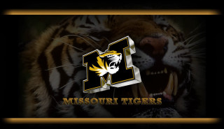 Tiger mouth open missouri tigers - a tiger free wallpaper for desktop