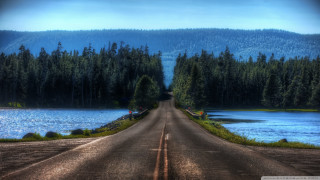 Road lake trees mountain scenery - charles martin free wallpaper