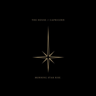 Black gold poster star side - free christmas wallpaper for tablet