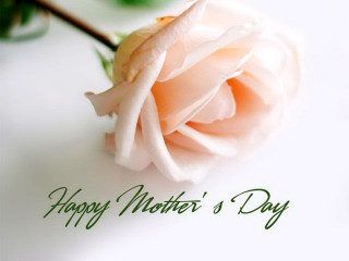 Pink rose white table mothers - a white table next free wallpaper