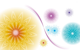Four colored flowers white background - a white center free wallpaper