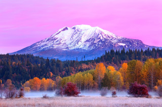 Snowy mountain autumn foliage trees - tree and grass free wallpaper for desktop