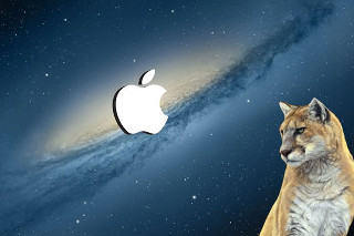 Cat rock apple logo galaxy - a rock next free wallpaper