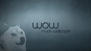 Dog standing wall wow dog - caspar wolf free wallpaper for desktop