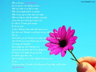 Person holding flower poem background - sorry free wallpaper