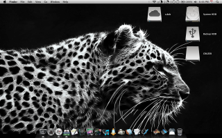 Leopard macbook pro black white - daarken free wallpaper