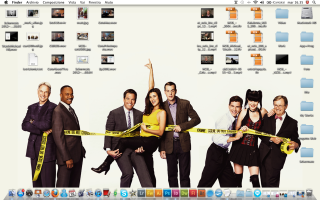 People yellow ribbon cat group - cicely free wallpaper for desktop