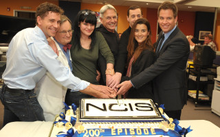 People cake ncis ribbon blue - the edge free wallpaper
