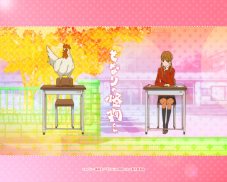 Girl chicken desk sitting shoulder - a desk free wallpaper