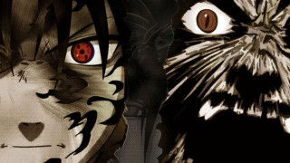 Cat dog artistic photo together - the cat free wallpaper