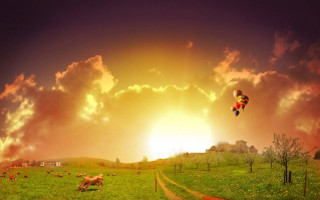 Kite flying person field cows - cow free wallpaper