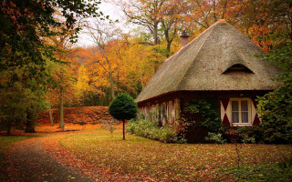 Small house thatched roof woods - a small house free wallpaper