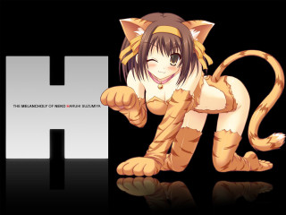 Cat hat letterh reflection anime - chen hong free wallpaper