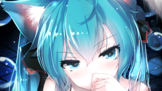 Anime girl blue hair cat 6 - blue hair and a cat ears free wallpaper