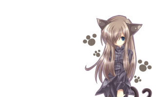 Cat girl long hair cat - anime free wallpaper