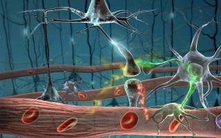 Nematic cell surroundings computer generated - environment free wallpaper for desktop